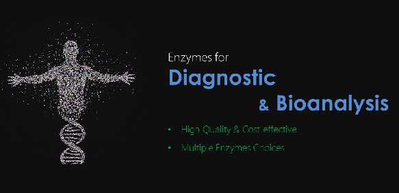 Enzymes for Diagnostic and Bioanalysis